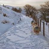 Path below top, Penycloddiau