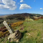 Foel Fenlli - Offa's Dyke path
