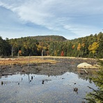 Pawtuckaway North Ridge