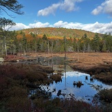 Pawtuckaway South Ridge