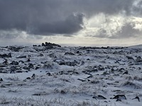 Rocky summit of Carnedd Gwenllian, Gyrn Wigau photo