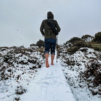 Early morning first out, Hartz Mountains (Tasmania) photo