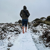 Early morning first out, Hartz Mountains (Tasmania)