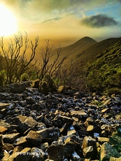 looking east, Toolbrunup photo