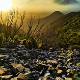 looking east, Toolbrunup