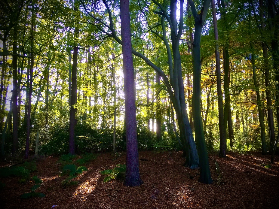 Geology of Alderley Edge weather