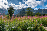 Widok na Tatry z Hali Gąsienicowej, Koscielec photo