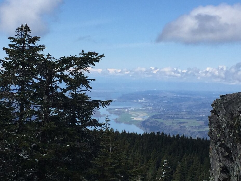 View Of Clark County From The Top Of Larch, Larch Mountain (Clark County, Washington)