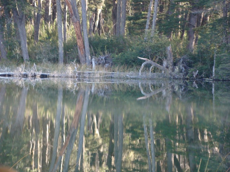 Laguna Las Corinas