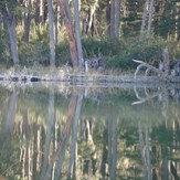 Laguna Las Corinas