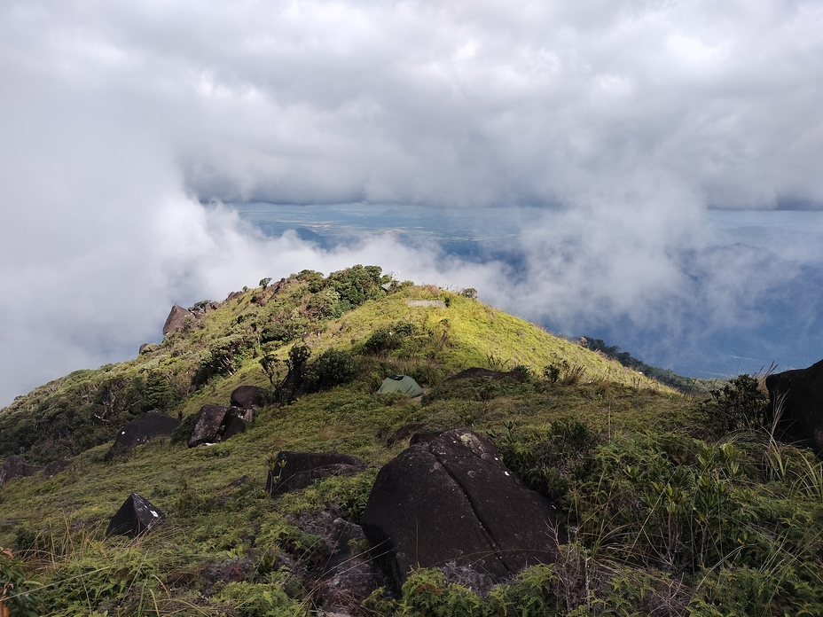 Mt Bartle Frere morning, Mount Bartle Frere