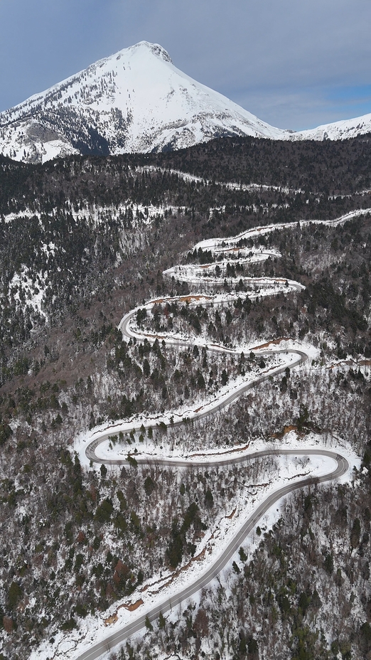 Dirfys -Steni's Aesthetic Forest, Dirfys (Evia)