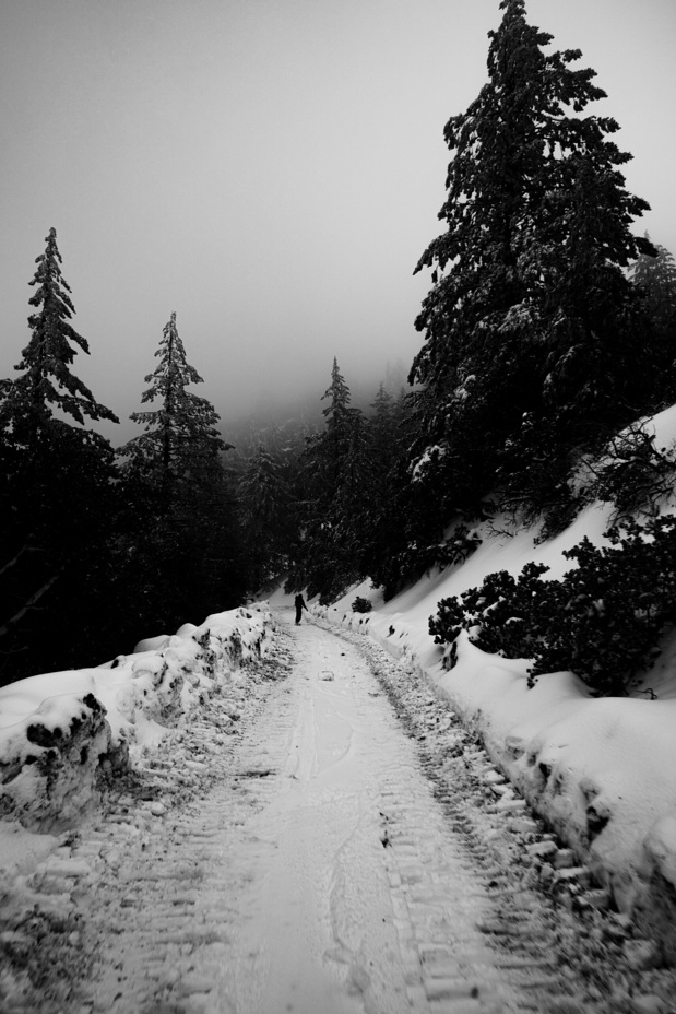 Skiing down the fire road March 2023, Mount Saint Helena
