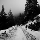 Skiing down the fire road March 2023 