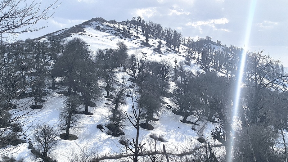 قبل از چیچال, Dorfak