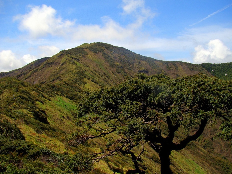 Pico da Vara , São Miguel island, Azores, Água de Pau (volcano)
