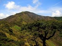 Pico da Vara , São Miguel island, Azores, Água de Pau (volcano) photo