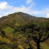 Pico da Vara , São Miguel island, Azores, Água de Pau (volcano)