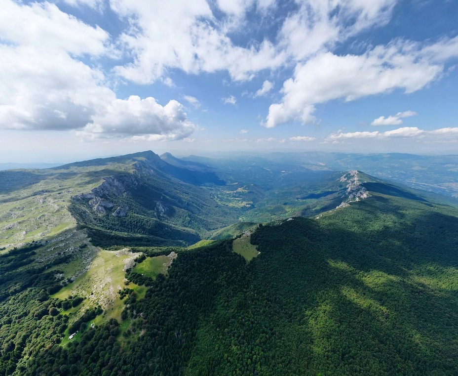 Suva Mountain Ridge, Trem - Suva planina