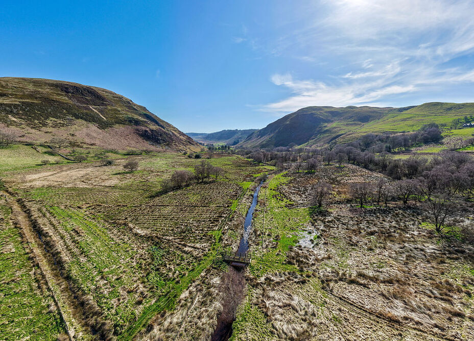 Berwyn Valley, Moel Prysgau