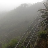 Ladders of victory, Mount Sabyinyo