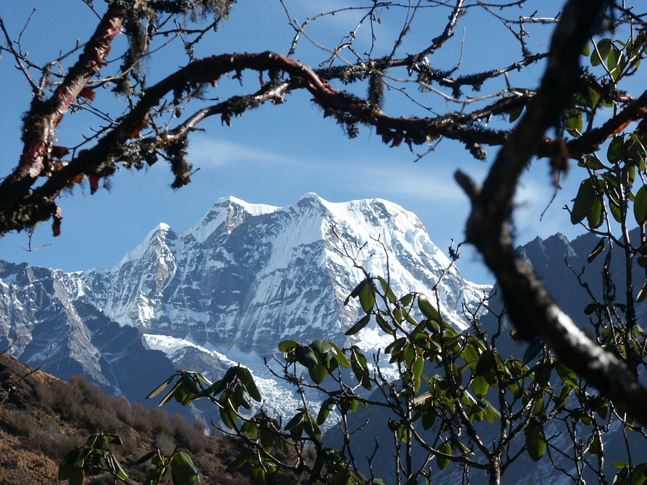 Alpinist Climber Expeditions - ACE, Mera Peak