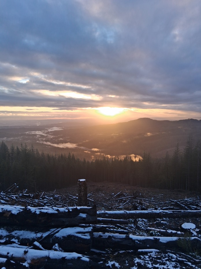 Looking West from Parched Larch, Larch Mountain (Clark County, Washington)
