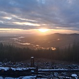 Looking West from Parched Larch, Larch Mountain (Clark County, Washington)