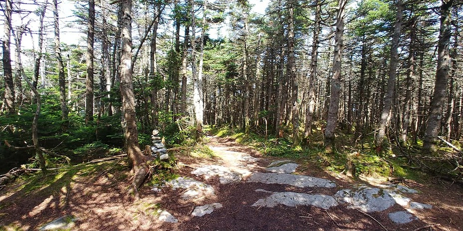 Cairn at the summit of Mt. Ellen, Mount Ellen (Vermont)