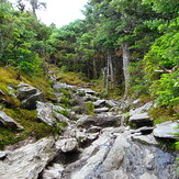 Summit Trail, Camels Hump