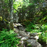 South Side Ascent, Camels Hump