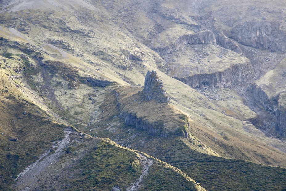 Mount Taranaki Shark, Mount Egmont/Taranaki