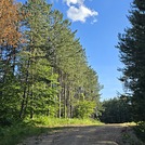 Šumska staza