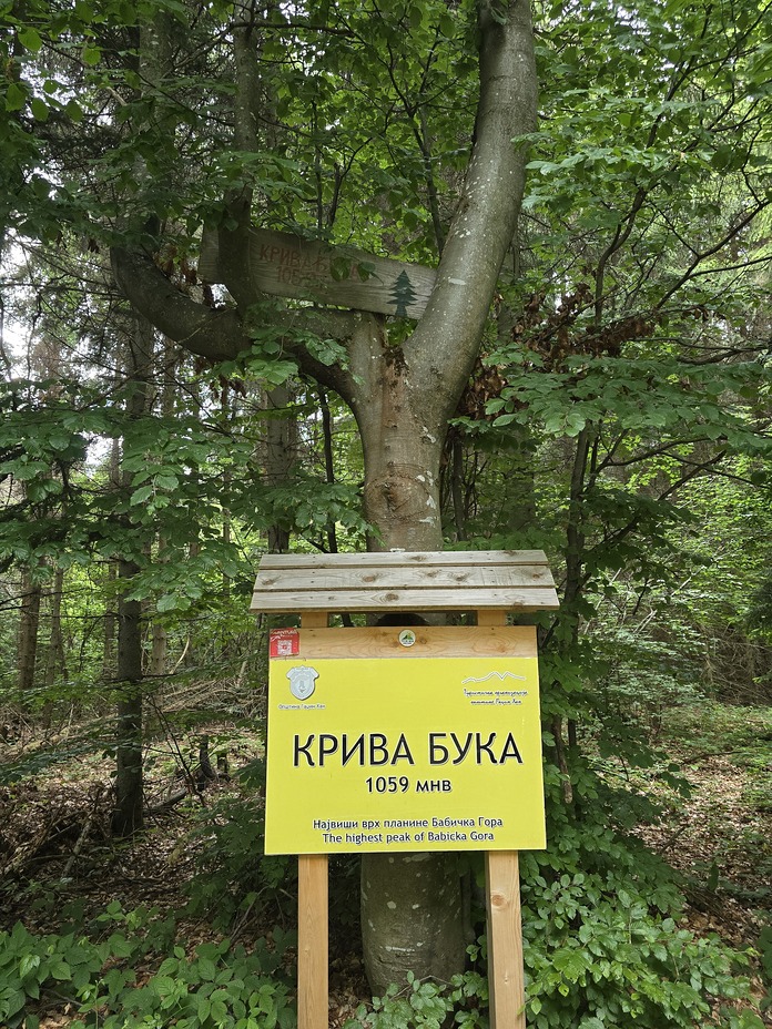 Tabla na vrhu, Babička Gora
