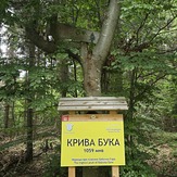 Tabla na vrhu, Babička Gora