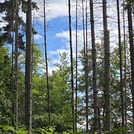 Usputna slika
