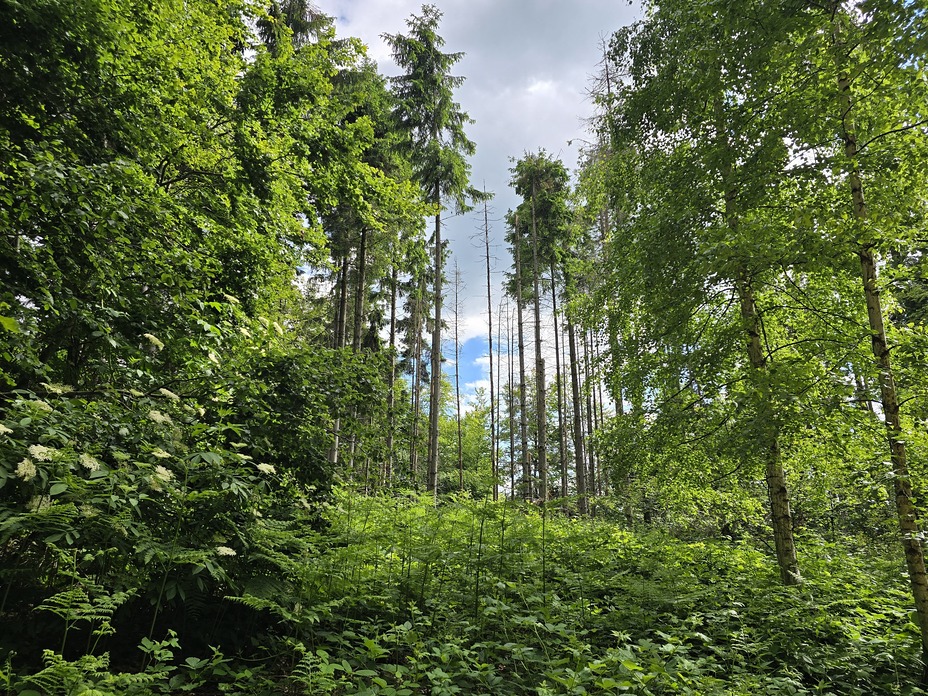 Babička Gora weather