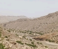 Giandari Top Rojhan Mazari Tuman mazari photo