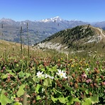 View of Mont Blanc, La Plagne Bike Park