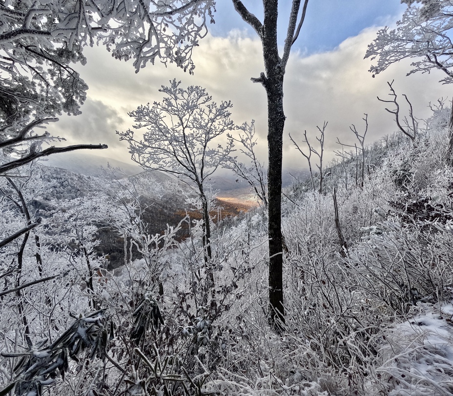 Rainbow Falls Trail, Mount LeConte