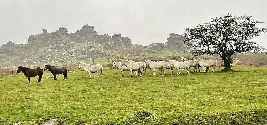 Dartmoor, Hound Tor