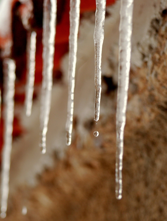 SLOW MOTION, Erymanthos