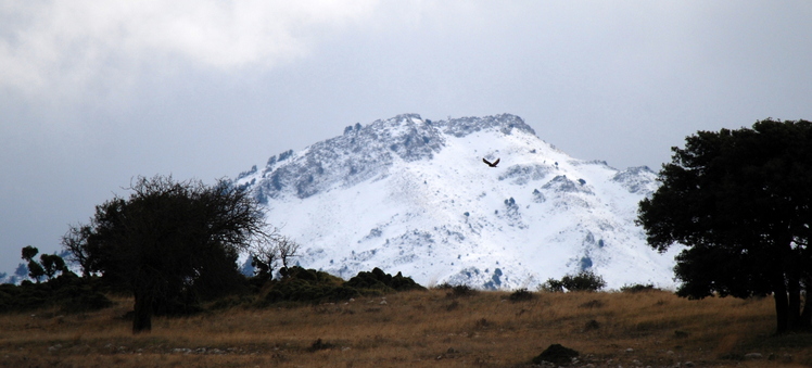 Mt Erymanthos view from Agridi