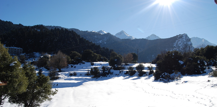 Tsapournia's forest 1000m, Erymanthos