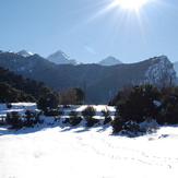 Tsapournia's forest 1000m, Erymanthos