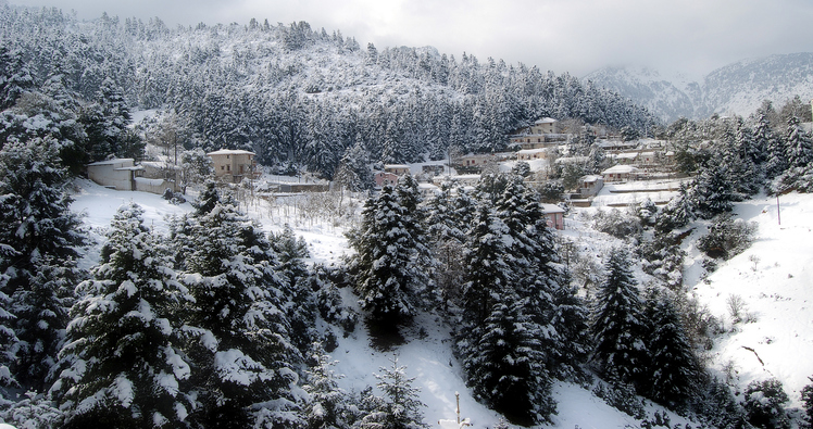 Tsapournia village 1000M, Erymanthos