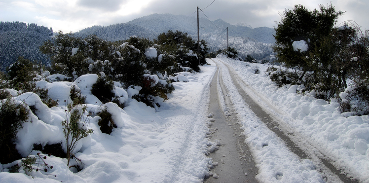 THE ROAD TO TSAPOURNIA (ERYMANTHOS)