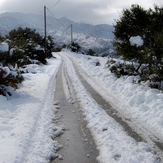 THE ROAD TO TSAPOURNIA (ERYMANTHOS)