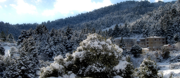 hotel zacharakis   TSAPOYRNIA, Erymanthos