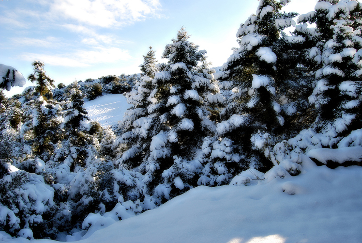 Tsapournia 1000m ERYMANTHOS